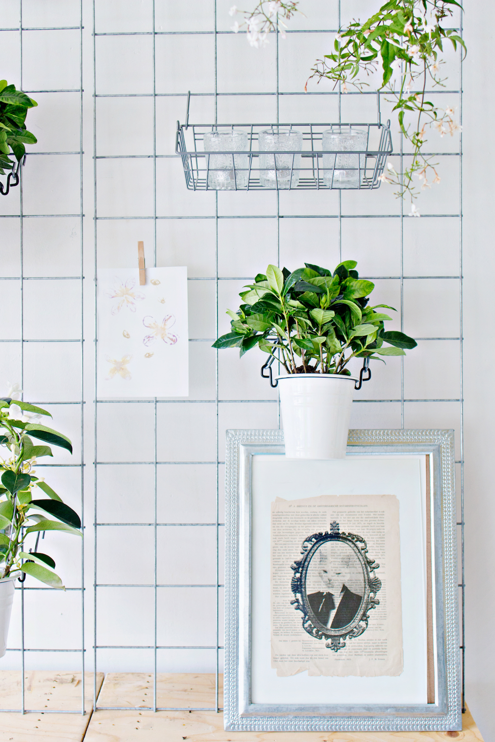 GREEN DIY | Wall Planter 